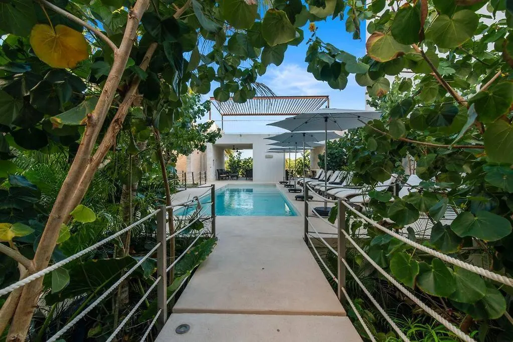 Akumal Amor Caribbean Sea View 2 Min Walk To Beach